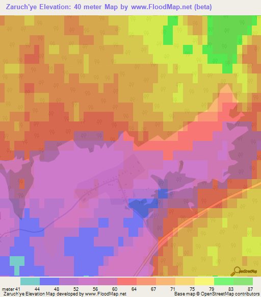 Zaruch'ye,Russia Elevation Map