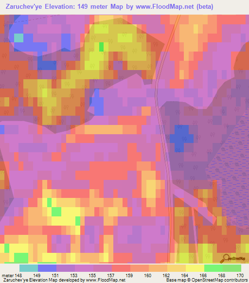 Zaruchev'ye,Russia Elevation Map