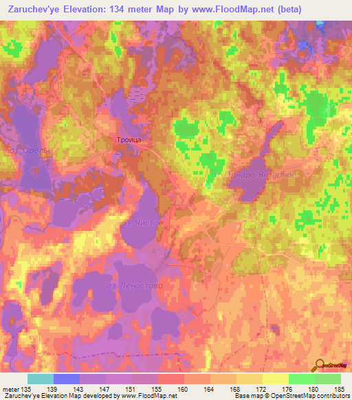 Zaruchev'ye,Russia Elevation Map