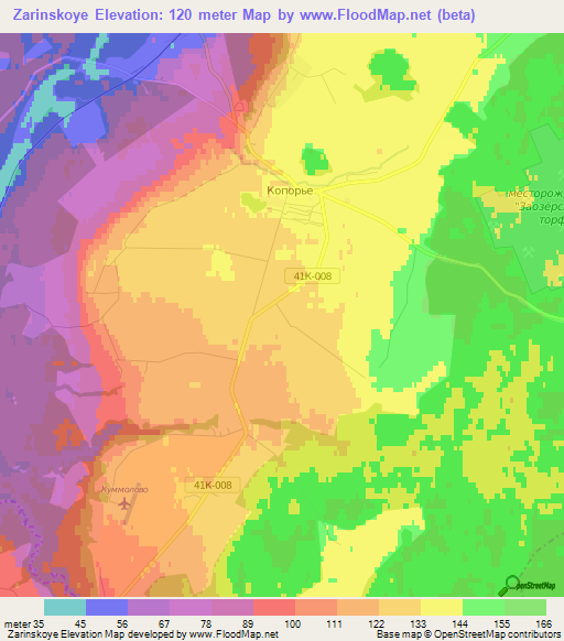 Zarinskoye,Russia Elevation Map