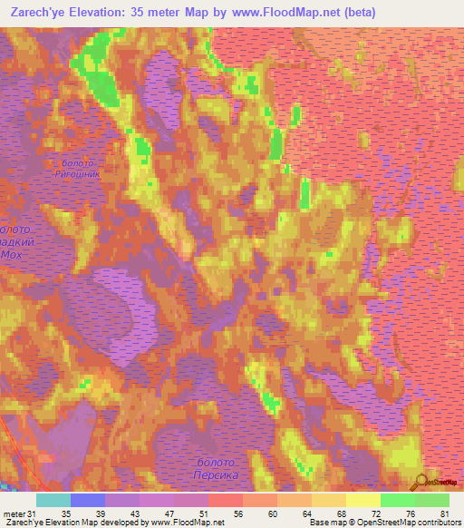 Zarech'ye,Russia Elevation Map