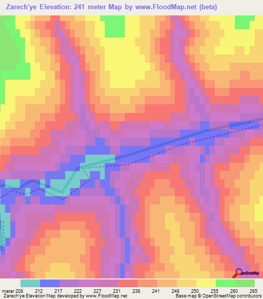 Zarech'ye,Russia Elevation Map