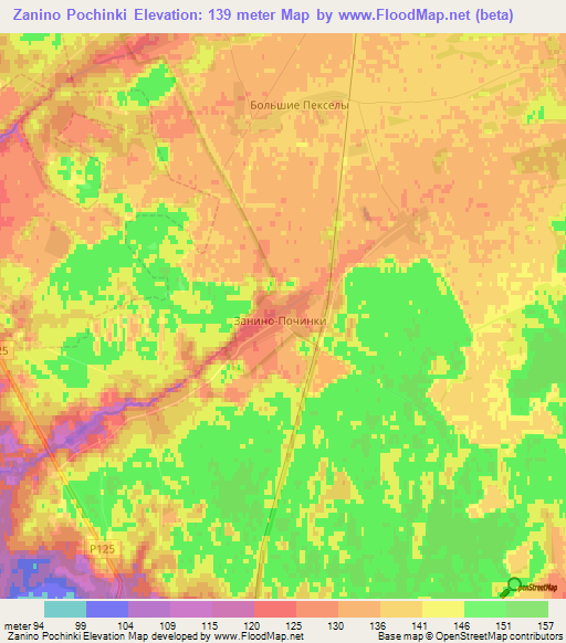 Zanino Pochinki,Russia Elevation Map