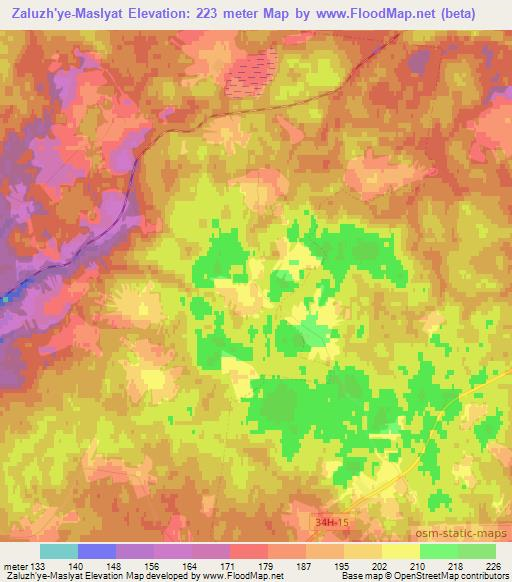 Zaluzh'ye-Maslyat,Russia Elevation Map