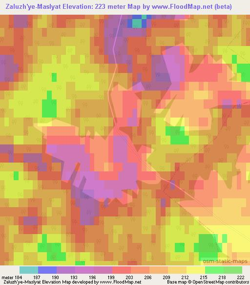 Zaluzh'ye-Maslyat,Russia Elevation Map