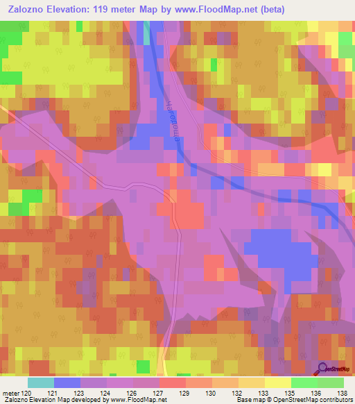 Zalozno,Russia Elevation Map