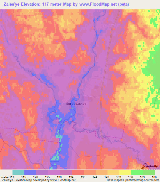 Zales'ye,Russia Elevation Map