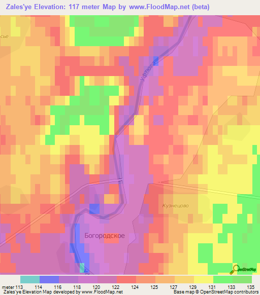 Zales'ye,Russia Elevation Map