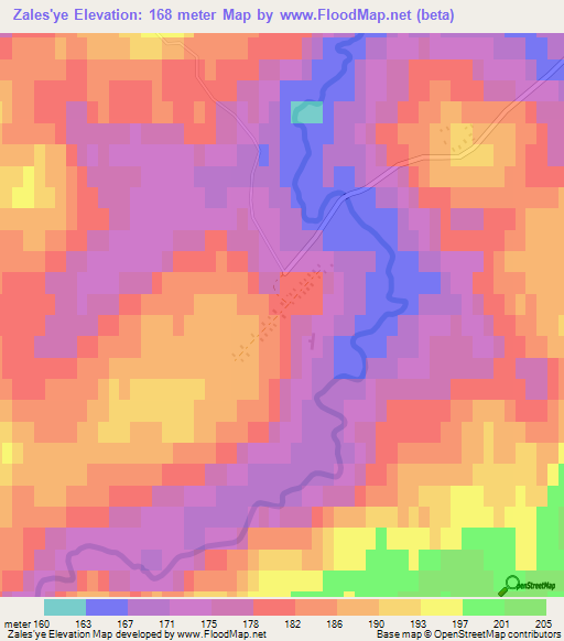 Zales'ye,Russia Elevation Map