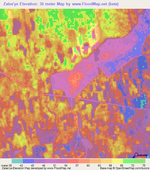 Zales'ye,Russia Elevation Map