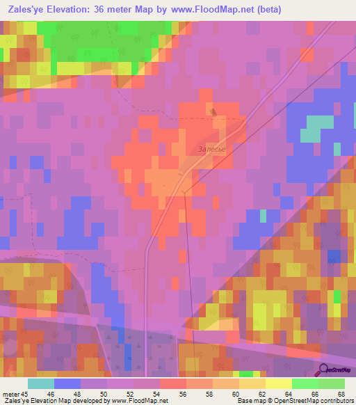 Zales'ye,Russia Elevation Map