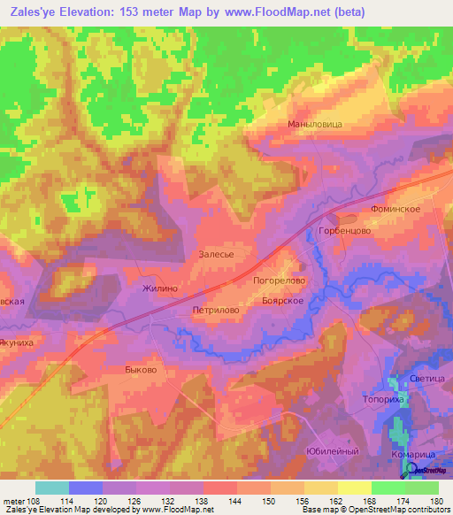 Zales'ye,Russia Elevation Map