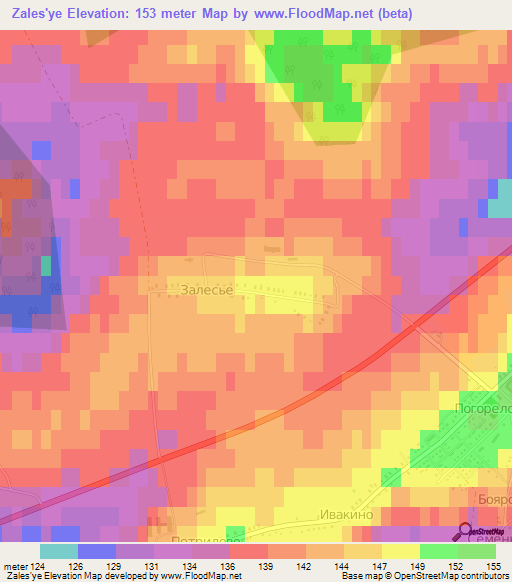 Zales'ye,Russia Elevation Map