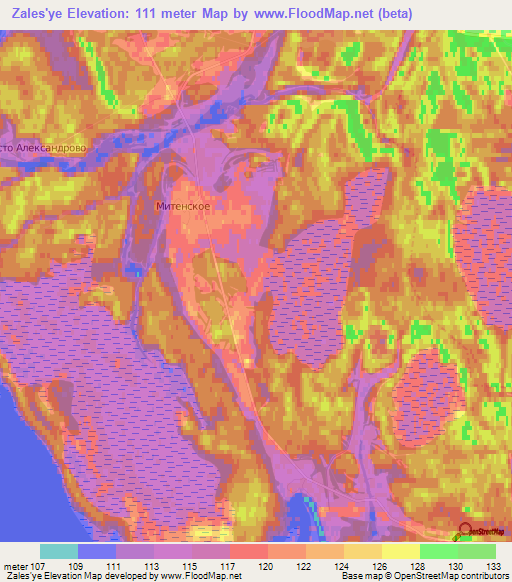 Zales'ye,Russia Elevation Map