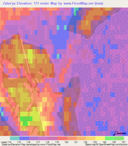 Zales'ye,Russia Elevation Map