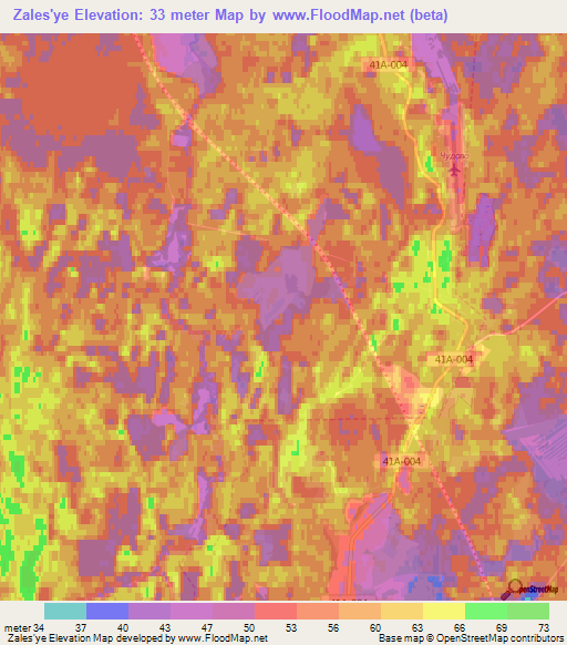 Zales'ye,Russia Elevation Map