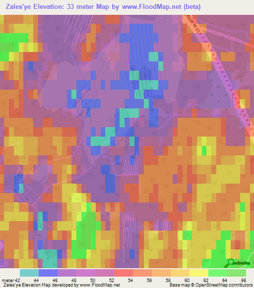 Zales'ye,Russia Elevation Map