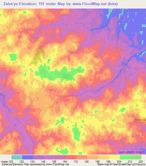 Zales'ye,Russia Elevation Map