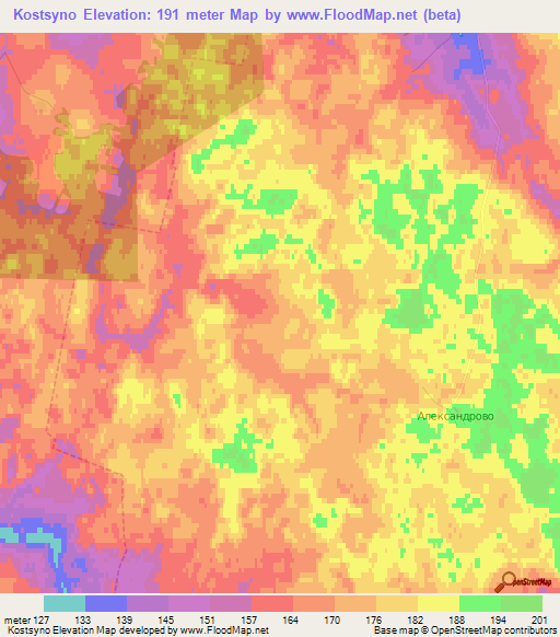 Kostsyno,Russia Elevation Map