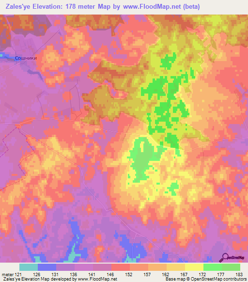 Zales'ye,Russia Elevation Map