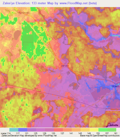 Zales'ye,Russia Elevation Map