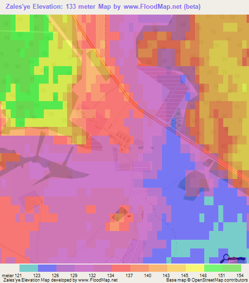 Zales'ye,Russia Elevation Map