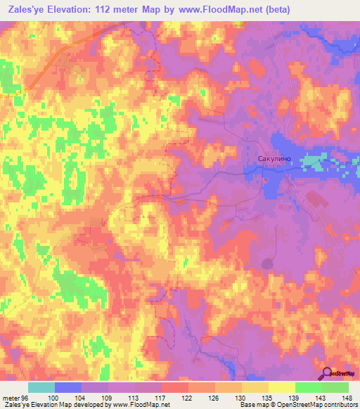 Zales'ye,Russia Elevation Map