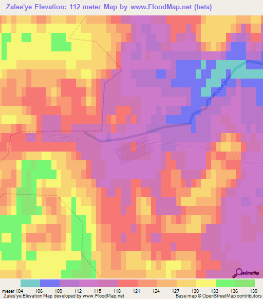 Zales'ye,Russia Elevation Map