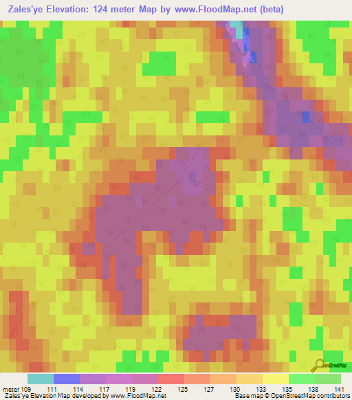 Zales'ye,Russia Elevation Map