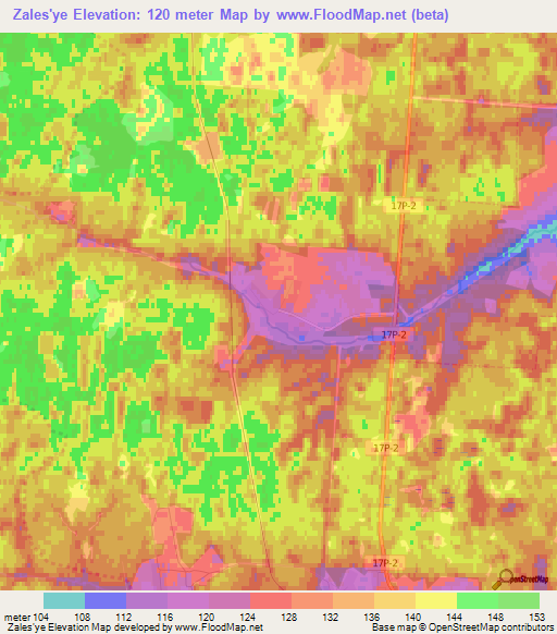 Zales'ye,Russia Elevation Map