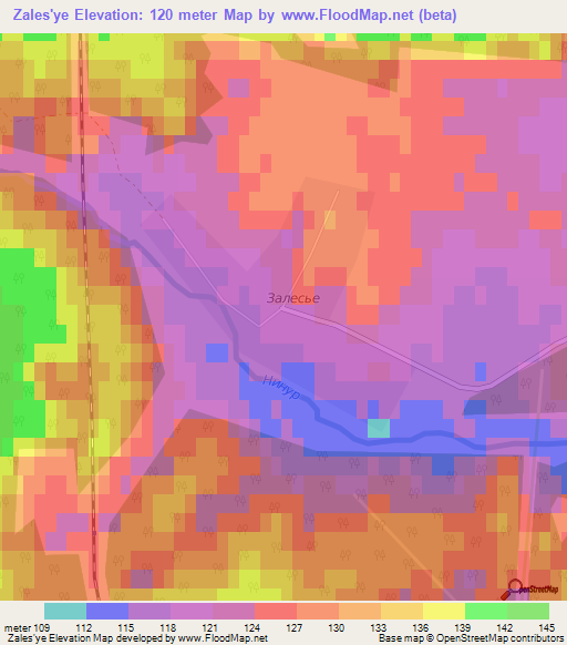 Zales'ye,Russia Elevation Map