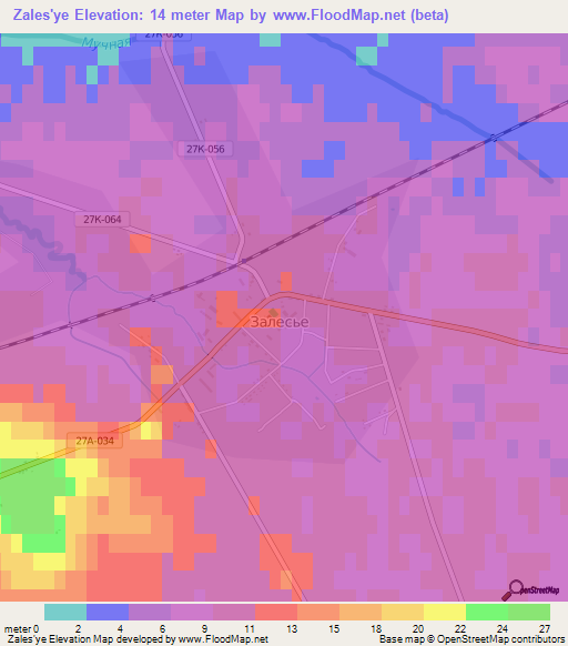 Zales'ye,Russia Elevation Map