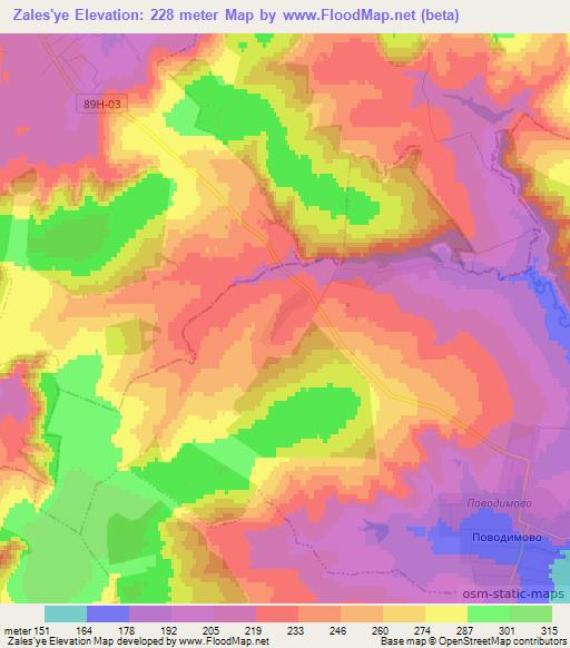 Zales'ye,Russia Elevation Map