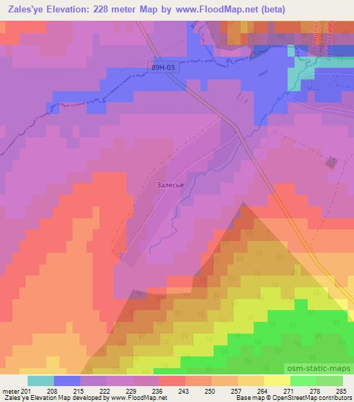 Zales'ye,Russia Elevation Map