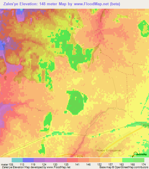 Zales'ye,Russia Elevation Map