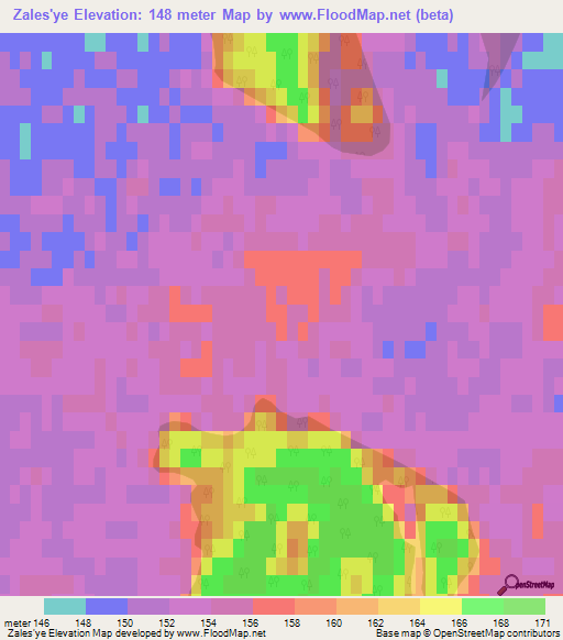 Zales'ye,Russia Elevation Map