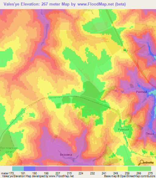 Vales'ye,Russia Elevation Map