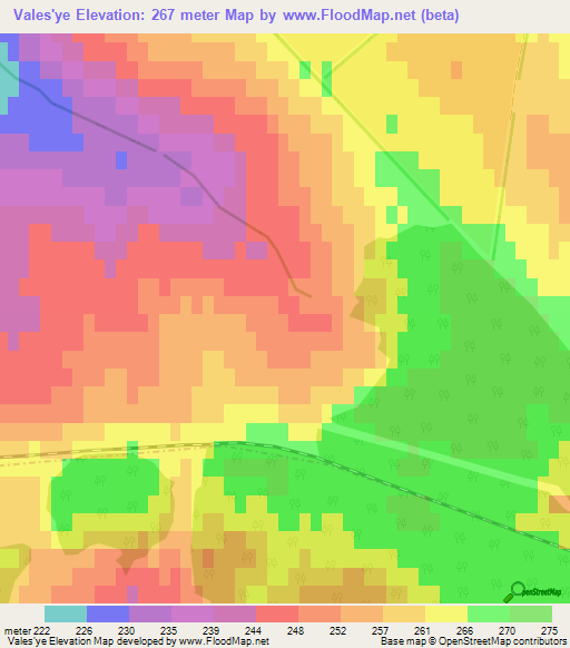 Vales'ye,Russia Elevation Map