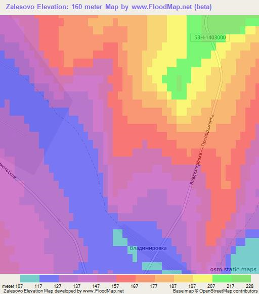 Zalesovo,Russia Elevation Map