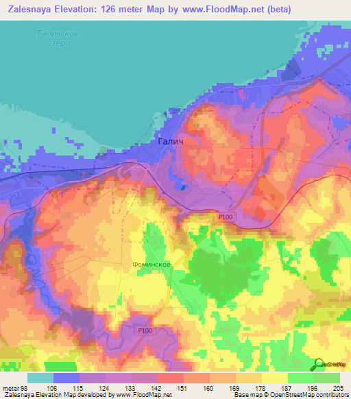 Zalesnaya,Russia Elevation Map