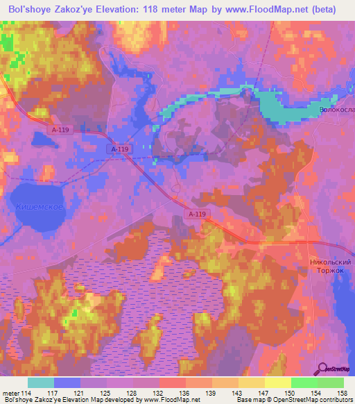 Bol'shoye Zakoz'ye,Russia Elevation Map