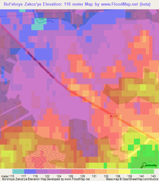 Bol'shoye Zakoz'ye,Russia Elevation Map