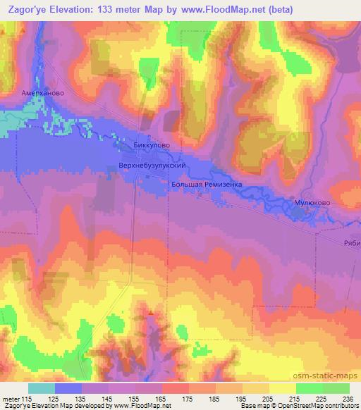 Zagor'ye,Russia Elevation Map