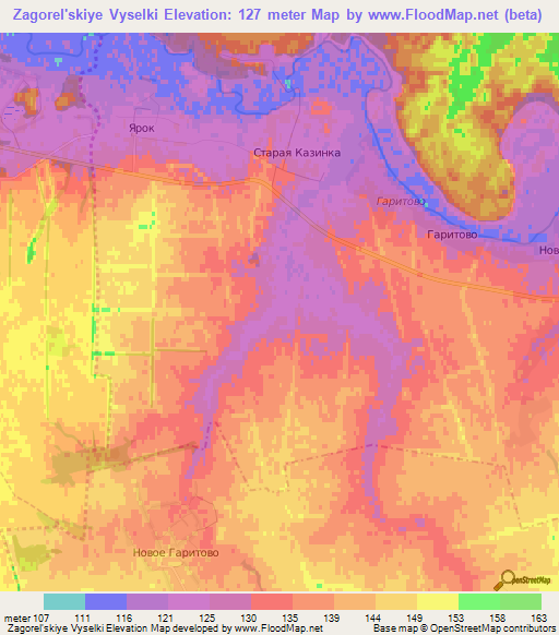 Zagorel'skiye Vyselki,Russia Elevation Map