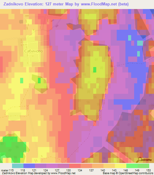 Zadnikovo,Russia Elevation Map