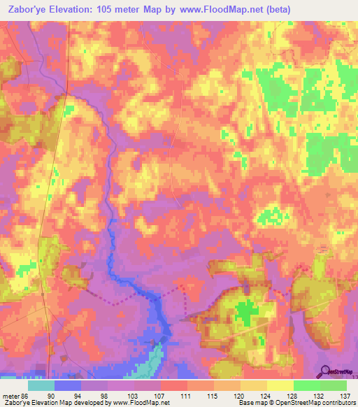 Zabor'ye,Russia Elevation Map