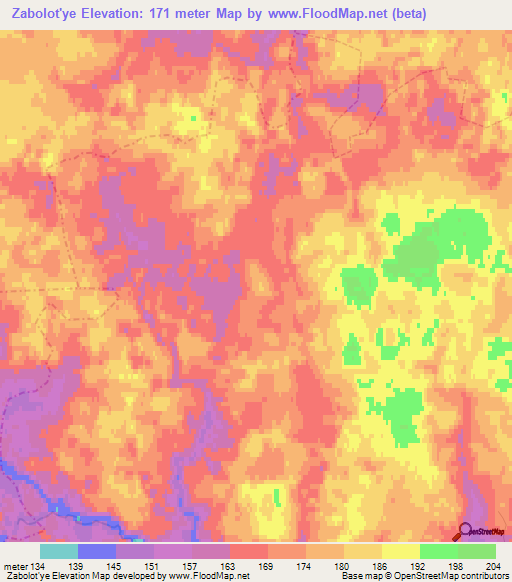 Zabolot'ye,Russia Elevation Map