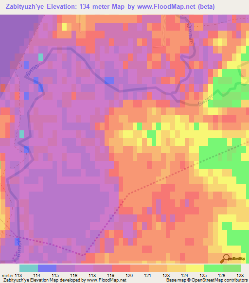 Zabityuzh'ye,Russia Elevation Map