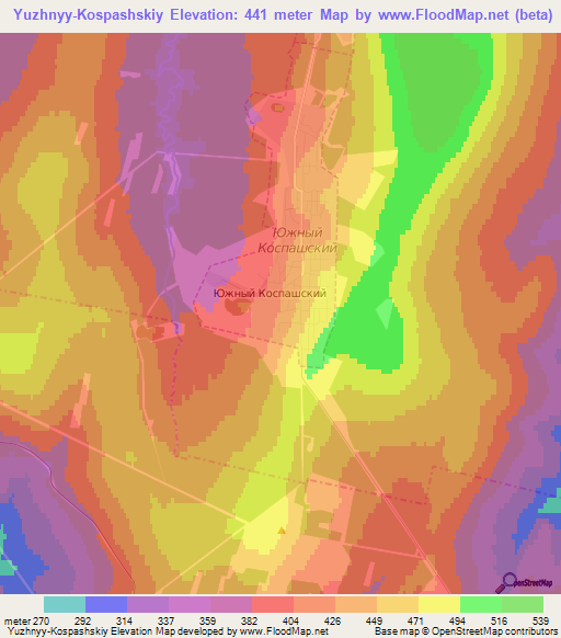 Yuzhnyy-Kospashskiy,Russia Elevation Map