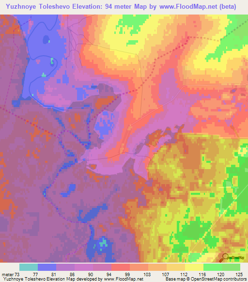 Yuzhnoye Toleshevo,Russia Elevation Map